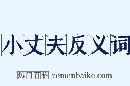 小丈夫反义词是什么意思的图片